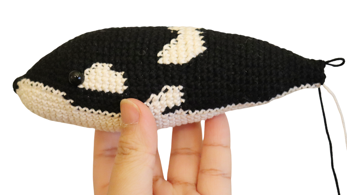 Handmade crochet orca from Woolshie pattern