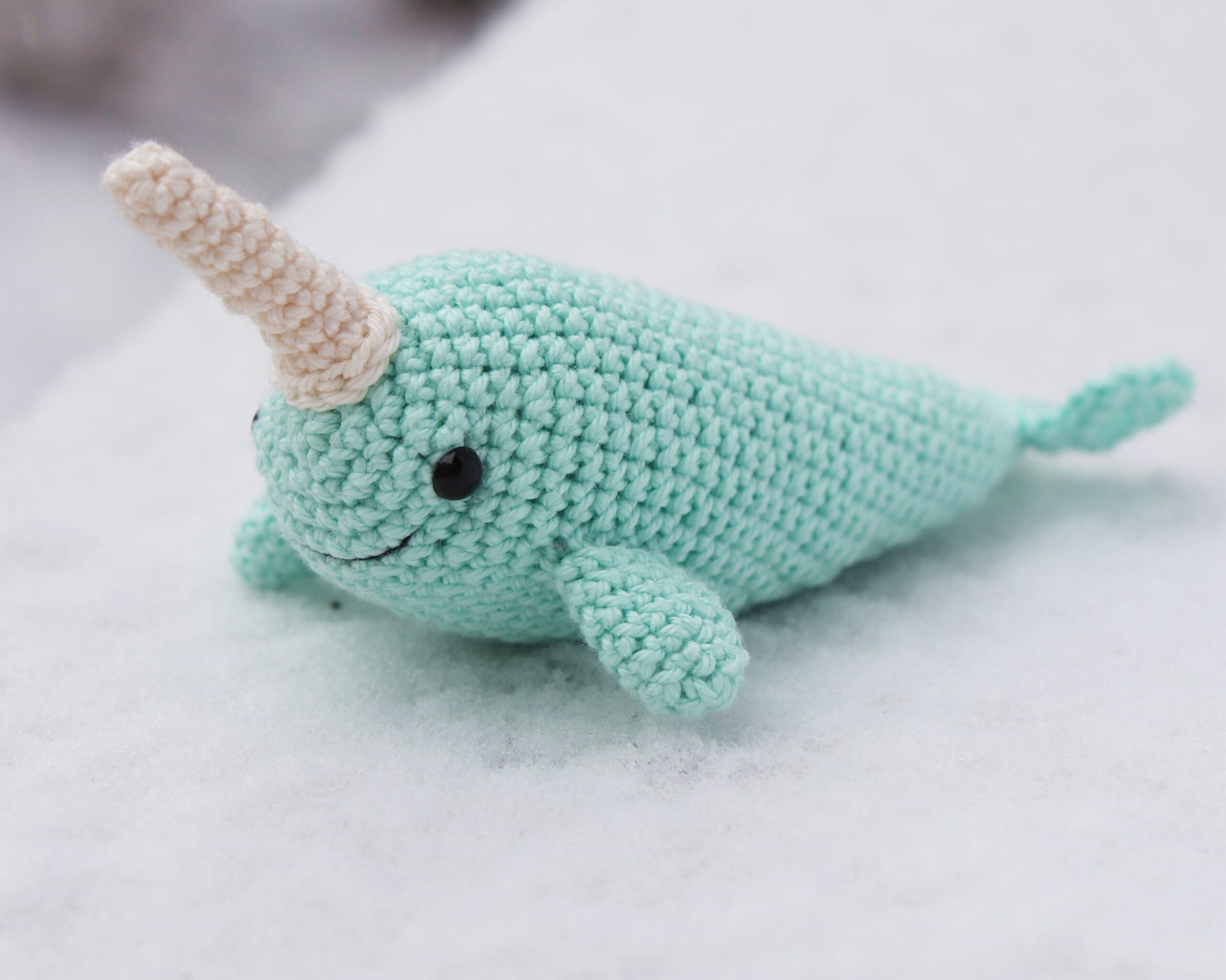 narwhal in the snow